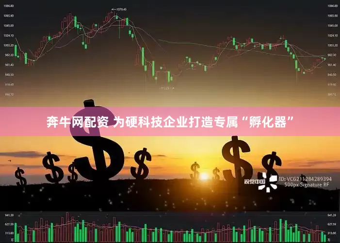 奔牛网配资 为硬科技企业打造专属“孵化器”